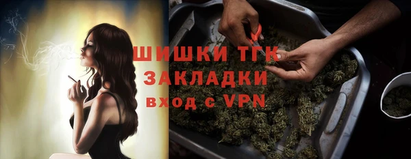 твердый Аркадак