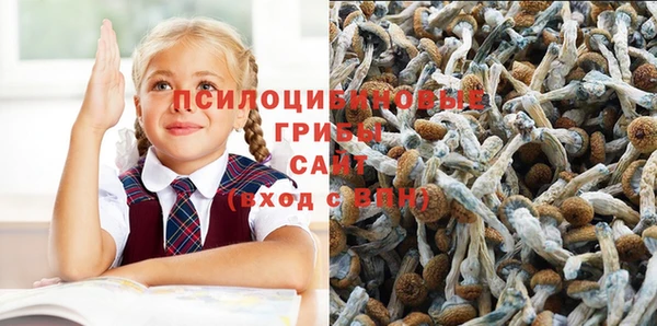 стафф Бронницы