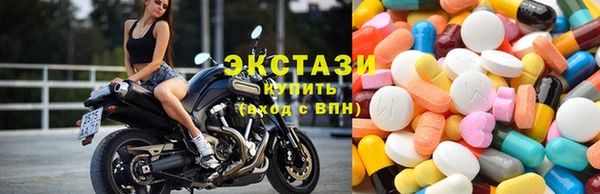 твердый Аркадак