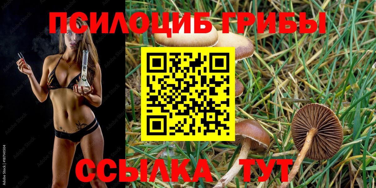 Арсеньев  Псилоцибиновые грибы ЛСД  Вход с VPN 